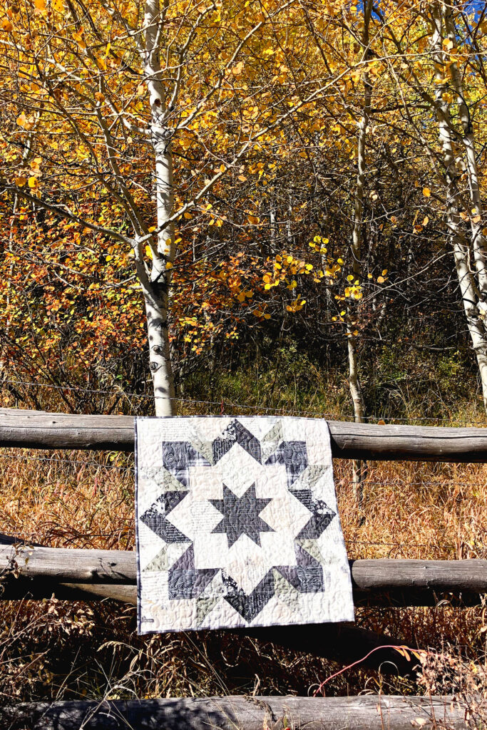 Fabric barn quilt by top US sewing blog Ameroonie Designs. Image of quilt in forest.